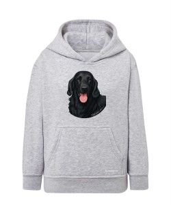 Flat coated retriever 1