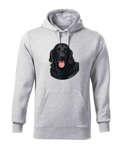 Flat coated retriever 1