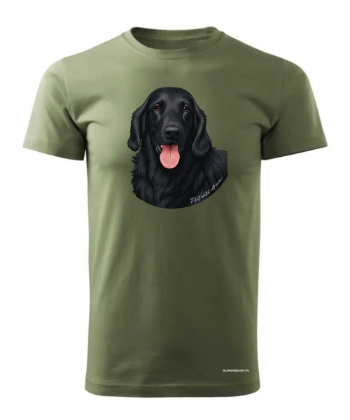 Flat coated retriever 1