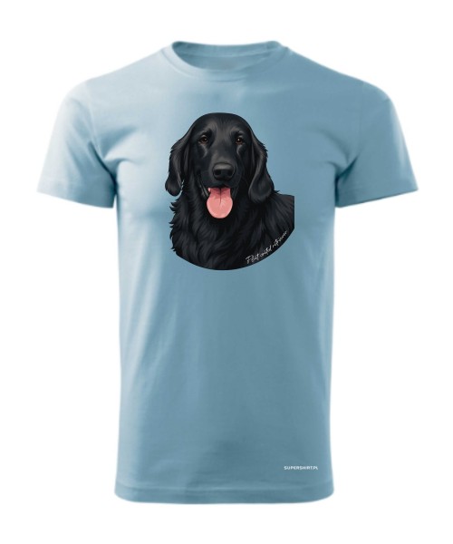 Flat coated retriever 1