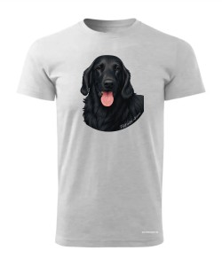 Flat coated retriever 1
