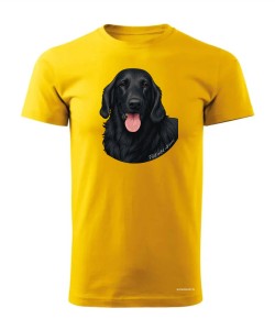 Flat coated retriever 1