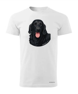 Flat coated retriever 1