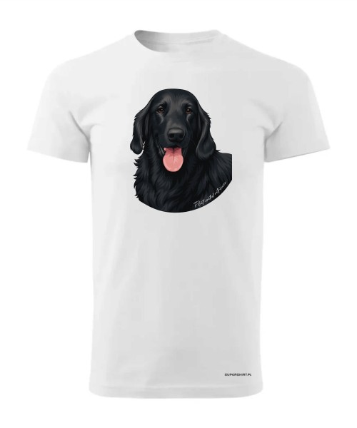 Flat coated retriever 1
