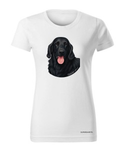 Flat coated retriever 1