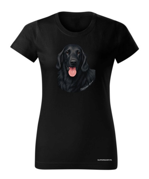 Flat coated retriever 1