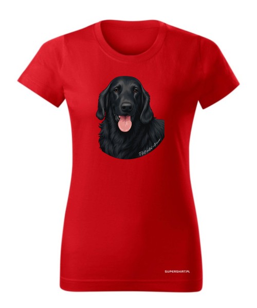 Flat coated retriever 1