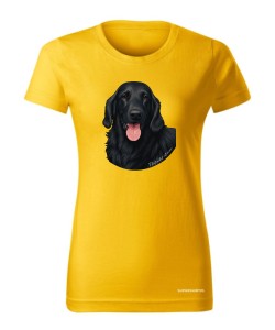 Flat coated retriever 1