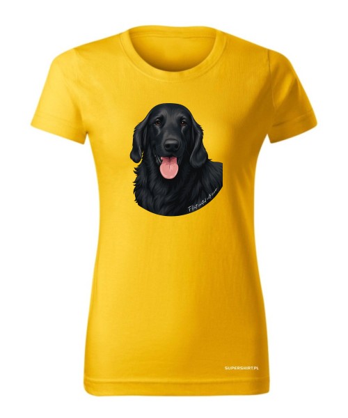 Flat coated retriever 1