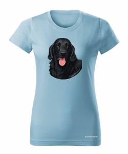 Flat coated retriever 1