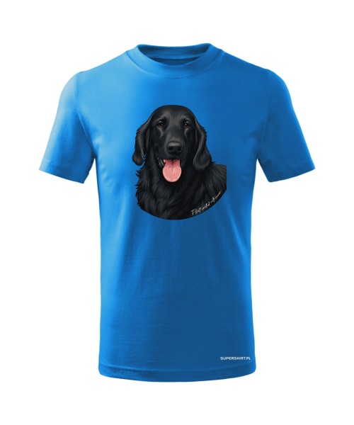 Flat coated retriever 1