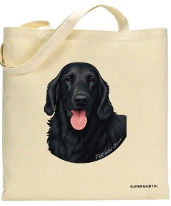 Flat coated retriever 1