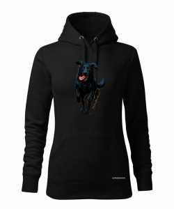 Flat coated retriever 2