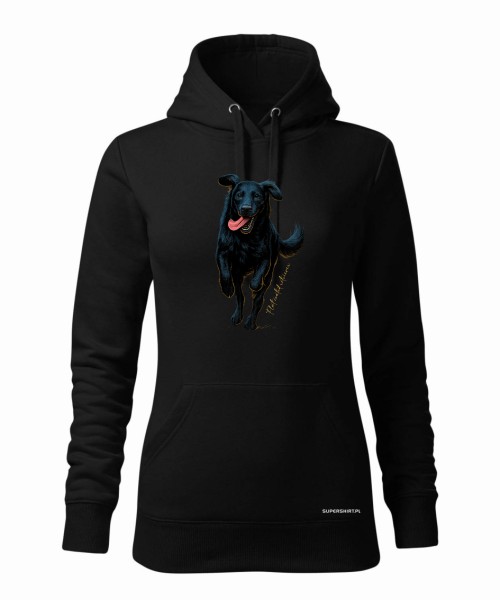 Flat coated retriever 2