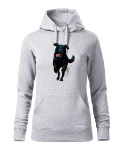 Flat coated retriever 2