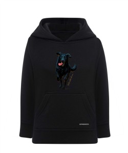 Flat coated retriever 2