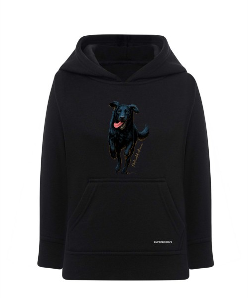 Flat coated retriever 2