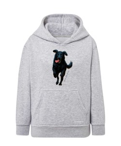 Flat coated retriever 2