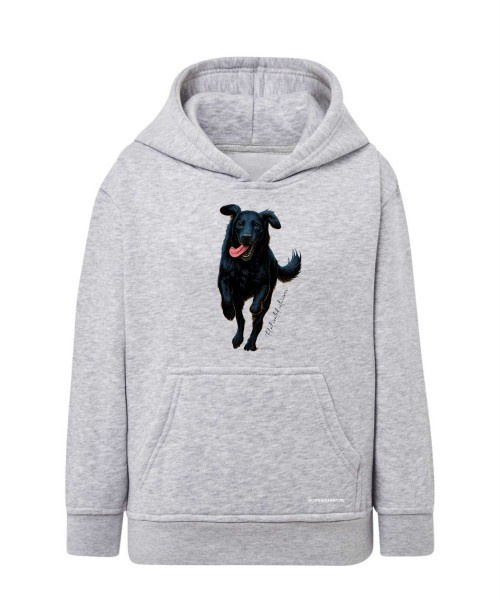 Flat coated retriever 2