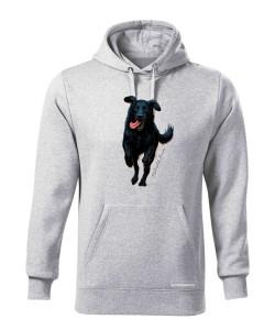 Flat coated retriever 2