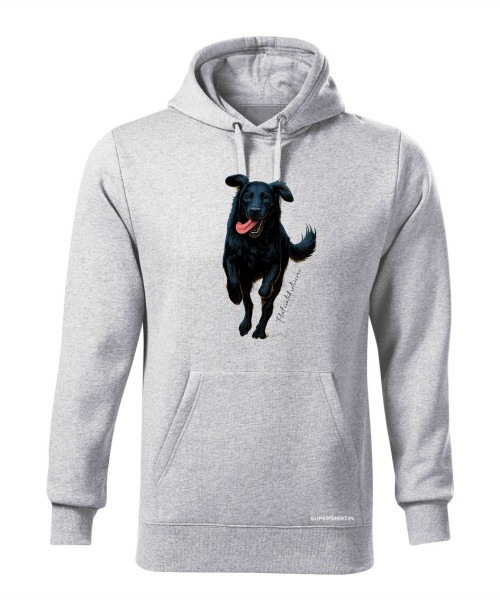 Flat coated retriever 2