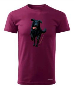 Flat coated retriever 2