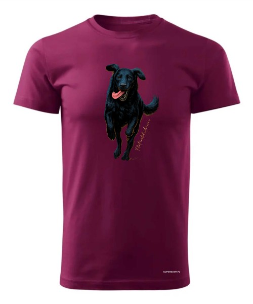 Flat coated retriever 2