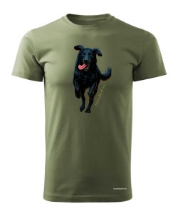 Flat coated retriever 2