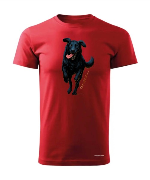 Flat coated retriever 2
