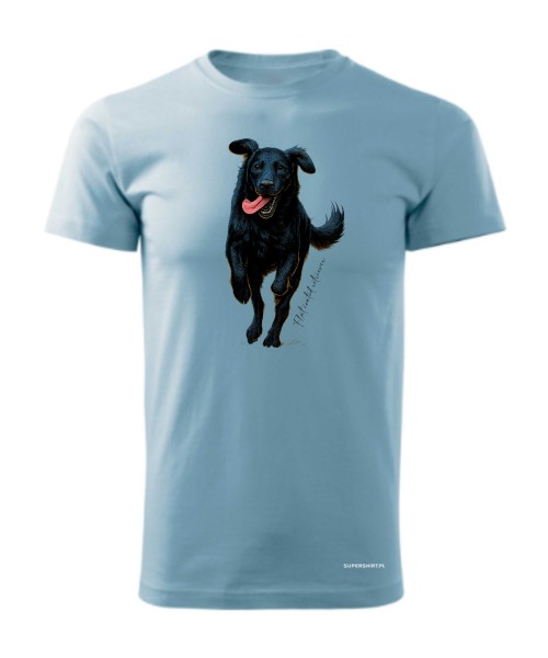 Flat coated retriever 2