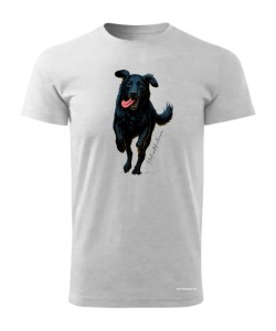 Flat coated retriever 2