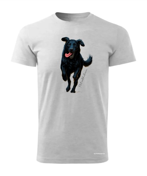 Flat coated retriever 2
