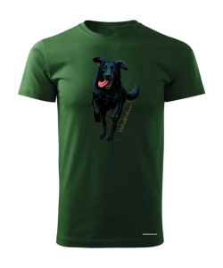 Flat coated retriever 2