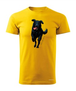 Flat coated retriever 2
