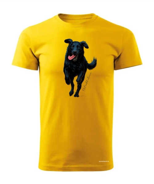 Flat coated retriever 2