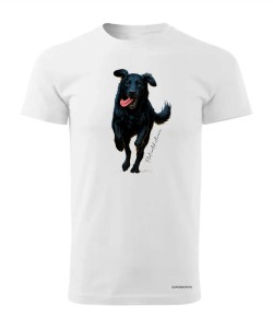 Flat coated retriever 2