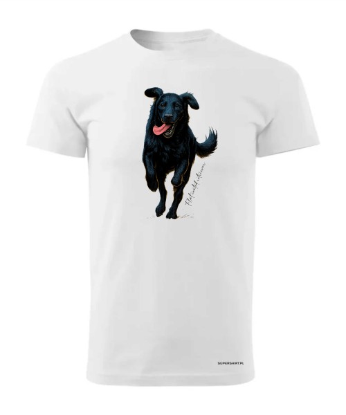 Flat coated retriever 2