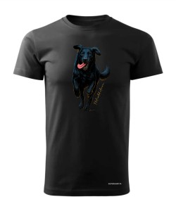 Flat coated retriever 2
