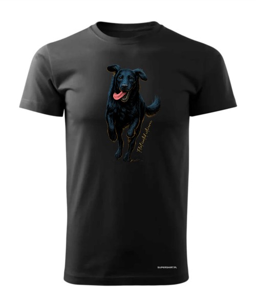 Flat coated retriever 2