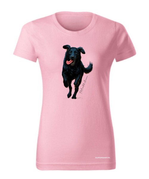 Flat coated retriever 2