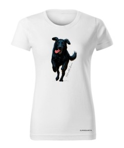 Flat coated retriever 2