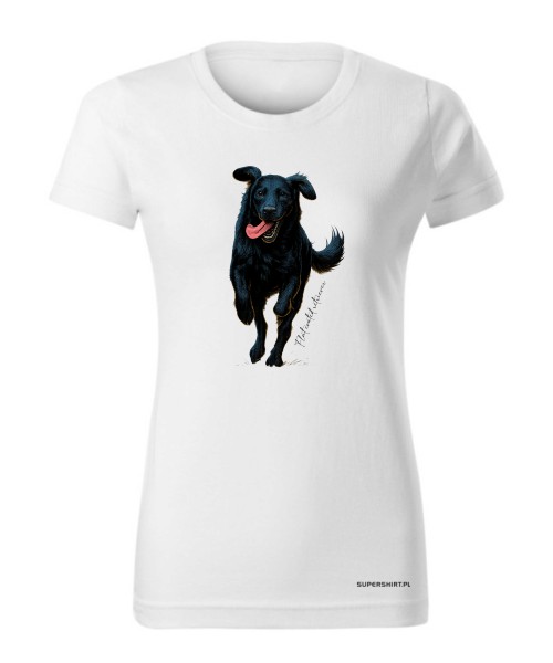 Flat coated retriever 2