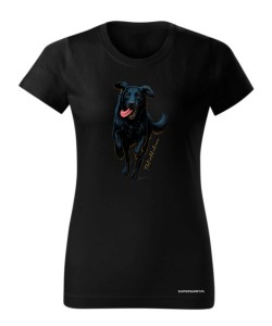Flat coated retriever 2
