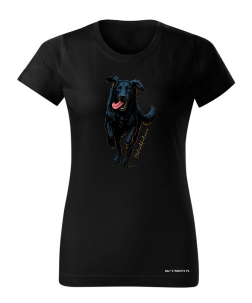 Flat coated retriever 2