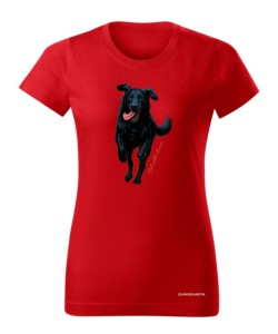 Flat coated retriever 2