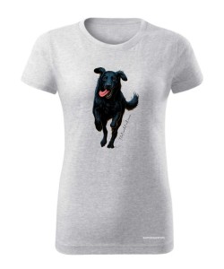 Flat coated retriever 2