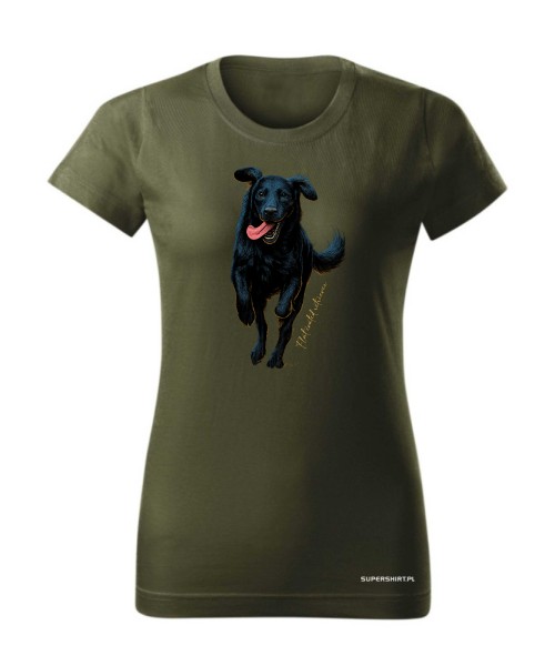 Flat coated retriever 2