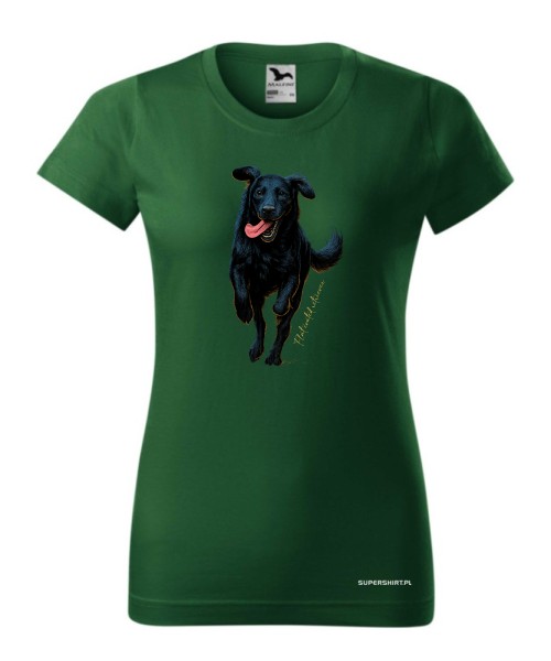 Flat coated retriever 2