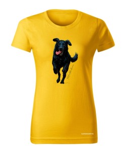 Flat coated retriever 2