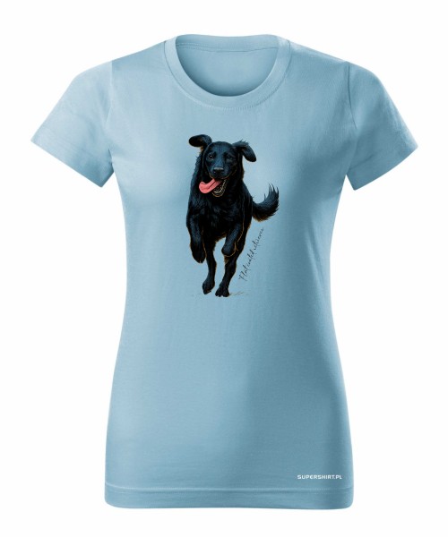 Flat coated retriever 2
